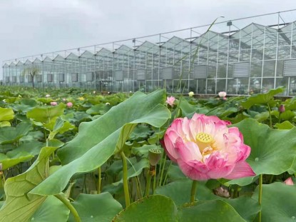 連棟薄膜生態餐廳