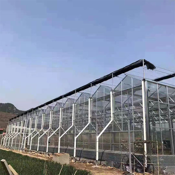 陽光板溫室
